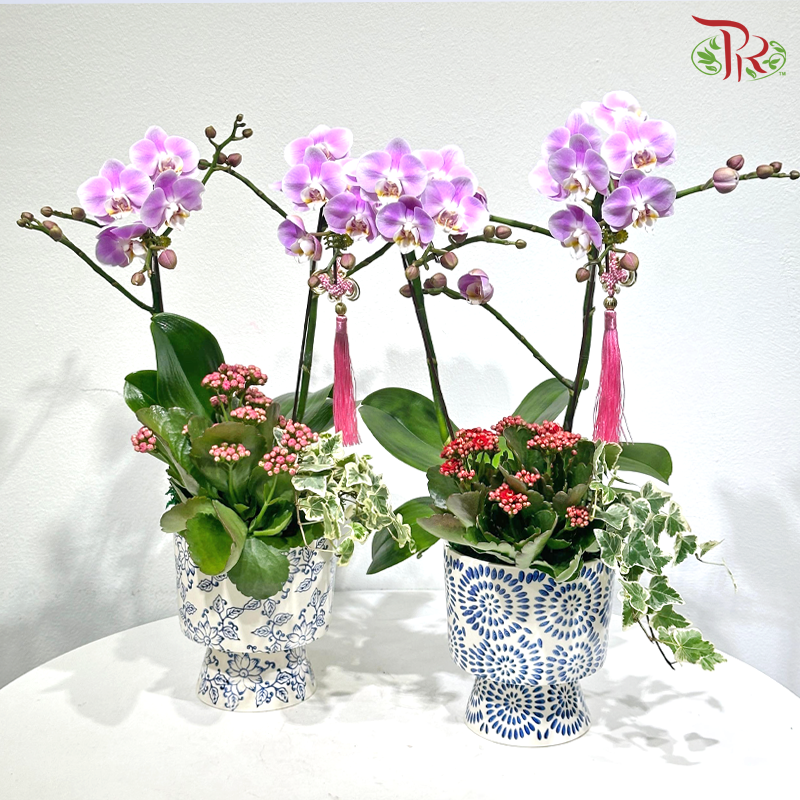 【CNY 2026】Double Blessings of Orchid 《兰福双至》(Random Choose Orchid Color) (With Pot Option)