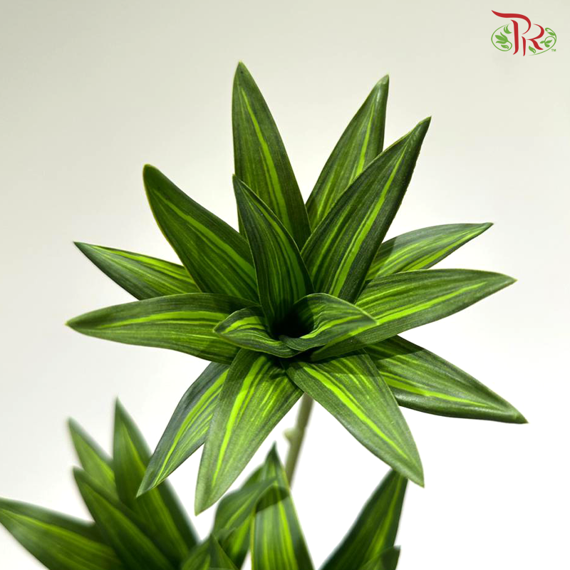 Artificial Dracaena Leaf - Green (2 Stems)
