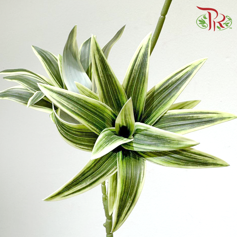 Artificial Dracaena Leaf - Bicolour Green (2 Stems)