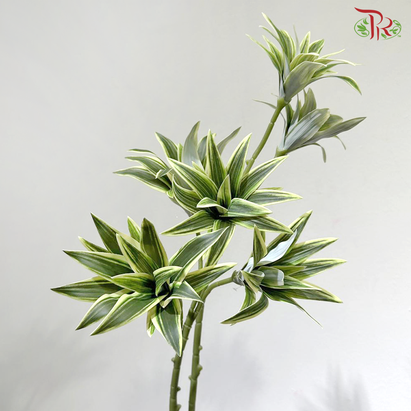 Artificial Dracaena Leaf - Bicolour Green (2 Stems)