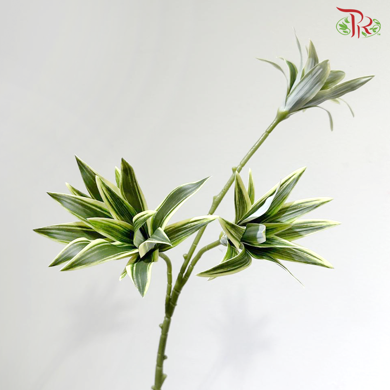Artificial Dracaena Leaf - Bicolour Green (2 Stems)