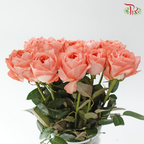 Rose - Dragon Fly (10 Stems)