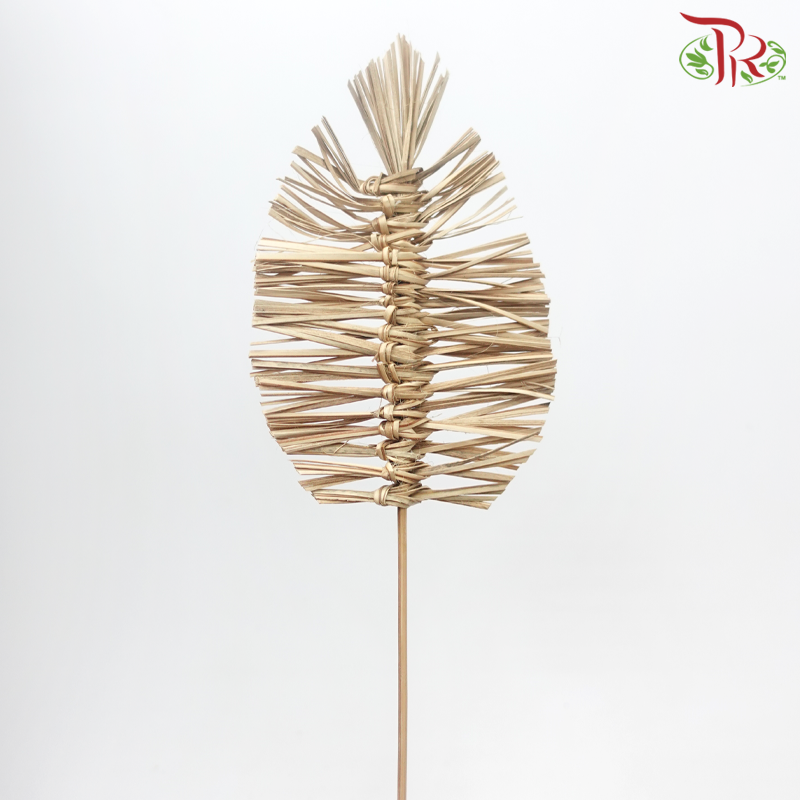 Dry Bamboo Boho Cana Leaf Natural - 21cm (5 Stems)