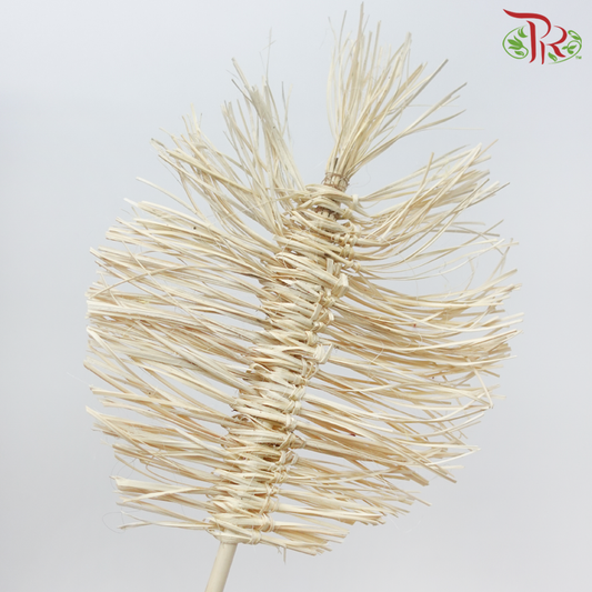 漂白干竹波西米亚卡纳叶 - 25 厘米（5 茎）