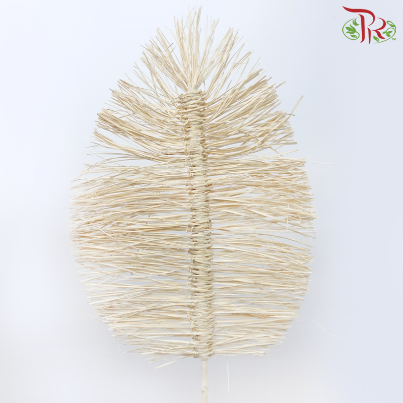 漂白干竹波西米亚卡纳叶 - 55 厘米（5 茎）