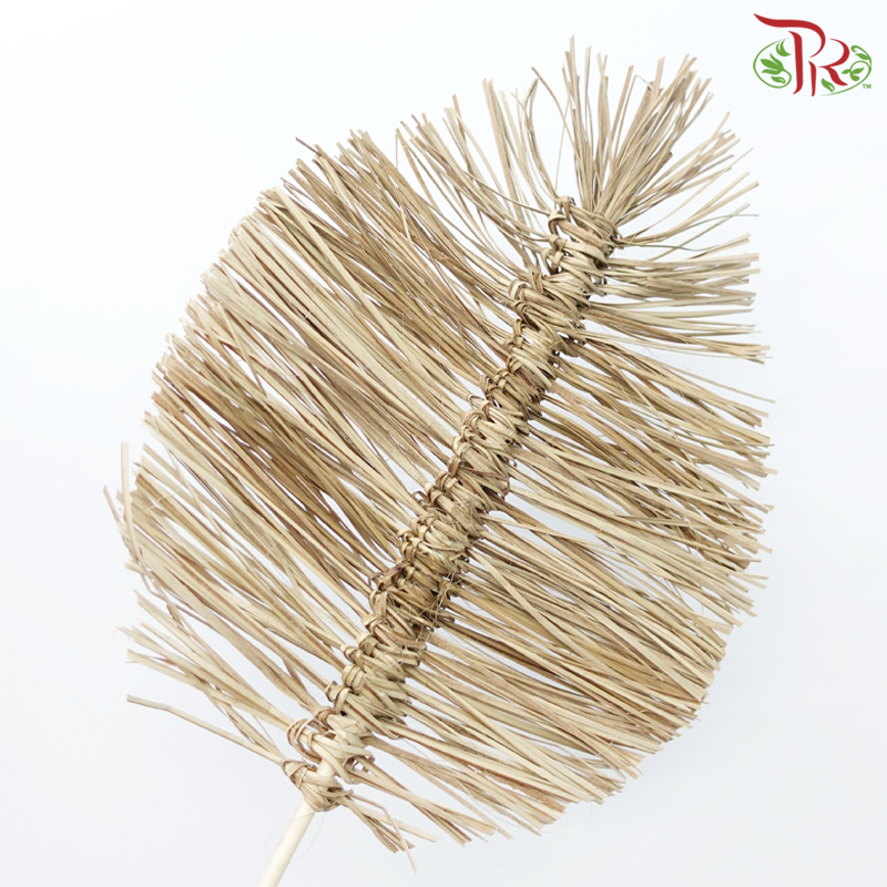 Dry Bamboo Boho Cana Leaf Natural - 35cm (5 Stems)