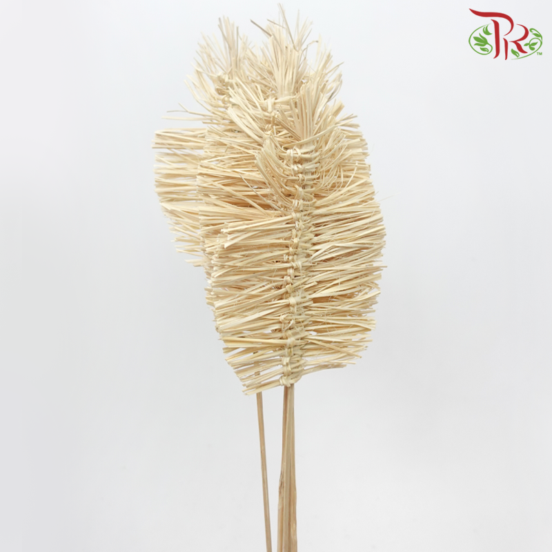 漂白干竹波西米亚卡纳叶 - 21 厘米（5 茎）