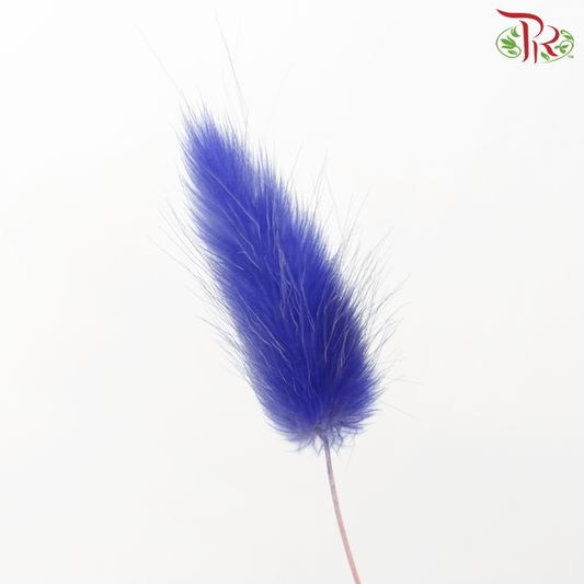 干拉古鲁斯兔尾 - 紫蓝色（每束）