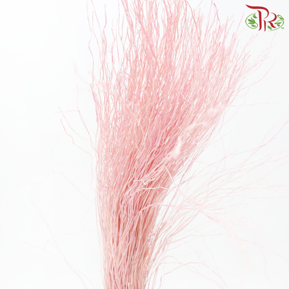 Dry Crazy Grass - Bleached Pink (Per Bunch)