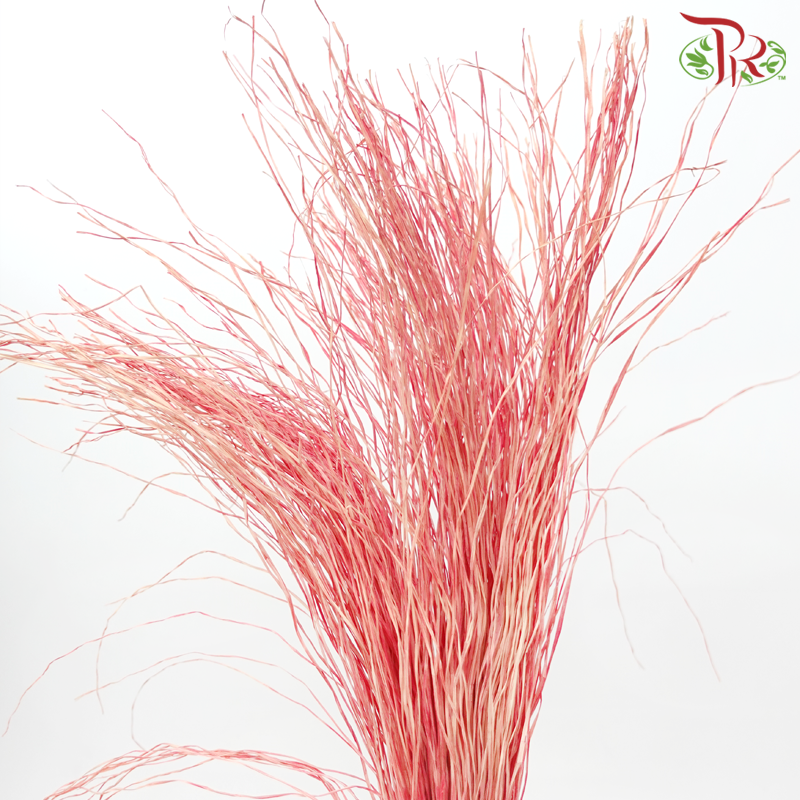 Dry Crazy Grass - Bleached Red (Per Bunch)