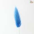 Dried Lagurus Bunny Tail - Azure Blue (Per Bunch)