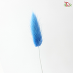 Dried Lagurus Bunny Tail - Azure Blue (Per Bunch)