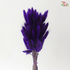 Dried Lagurus Bunny Tail - Dark Purple (Per Bunch)