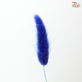 Dried Lagurus Bunny Tail - Blue (Per Bunch)