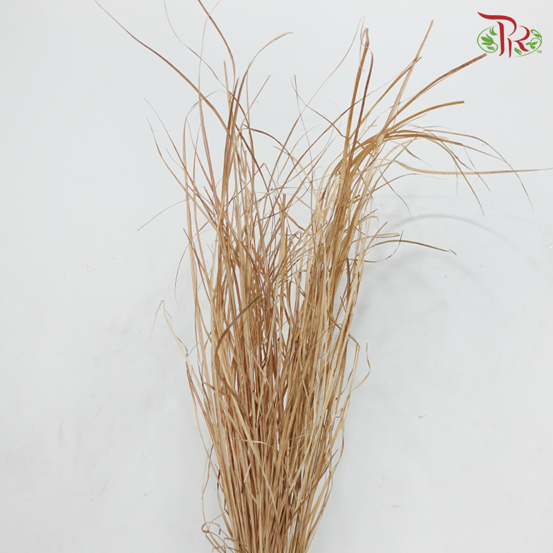 Dry Maiden Grass (Per Bunch)