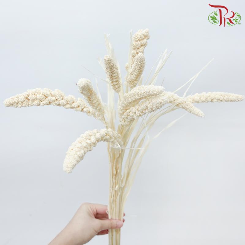 Dry Millet - White (Per Bunch)