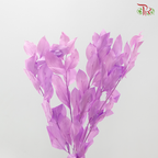 Dry Orange Leaf Dyed - Pink Purple (Per Bunch)