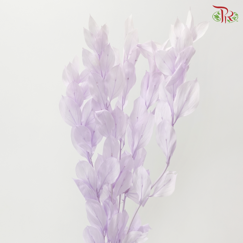 Dry Orange Leaf Dyed - Light Purple (Per Bunch)