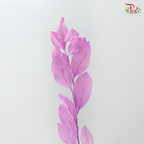 Dry Orange Leaf Dyed - Pink Purple (Per Bunch)