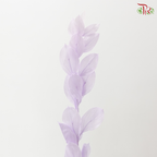 Dry Orange Leaf Dyed - Light Purple (Per Bunch)