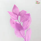 Dry Orange Leaf Dyed - Pink Purple (Per Bunch)