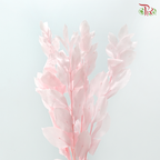 Dry Orange Leaf Dyed - Pink (Per Bunch)