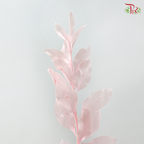 Dry Orange Leaf Dyed - Pink (Per Bunch)