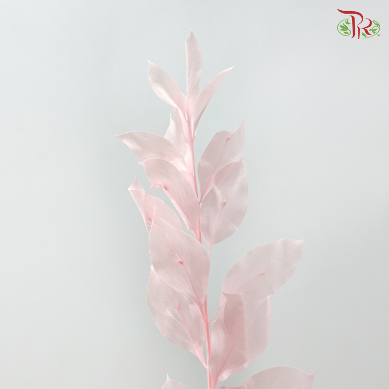 Dry Orange Leaf Dyed - Pink (Per Bunch)