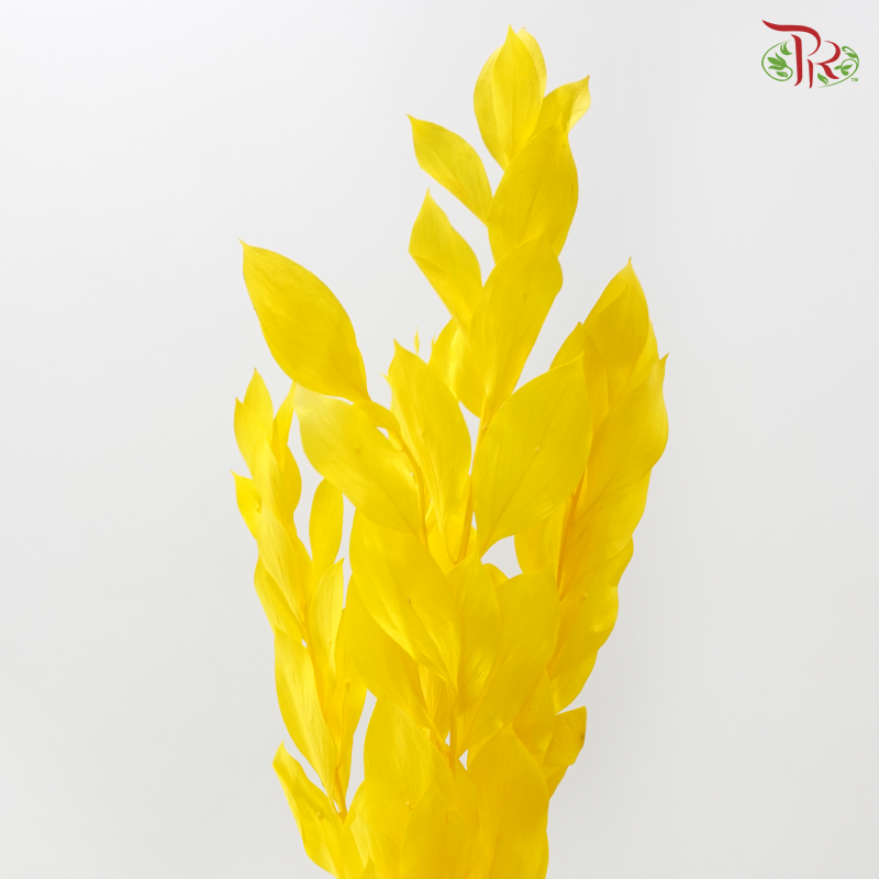 Dry Orange Leaf Dyed - Yellow (Per Bunch)