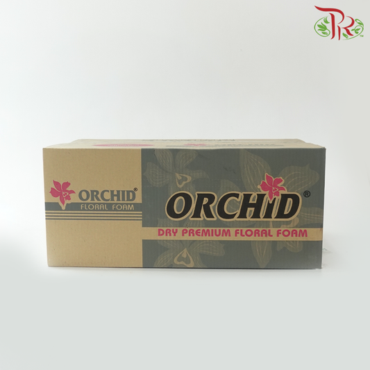 Orchid Dry Premium Floral Foam (20 Pieces)