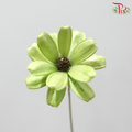 Dried Sunflower Seed Flower - Green (Per Bunch)