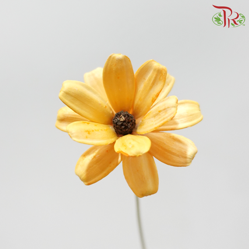 Dried Sunflower Seed Flower - Yellow (Per Bunch)