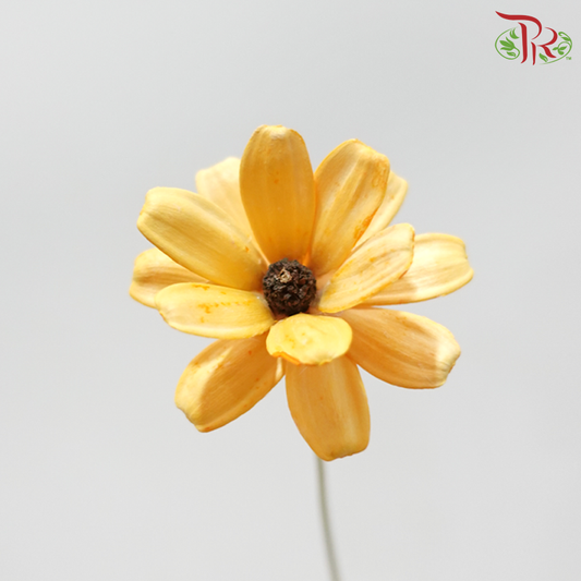 Dried Sunflower Seed Flower - Yellow (Per Bunch)