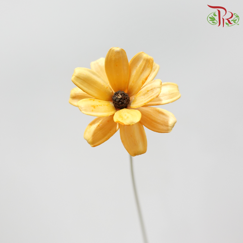 Dried Sunflower Seed Flower - Yellow (Per Bunch)