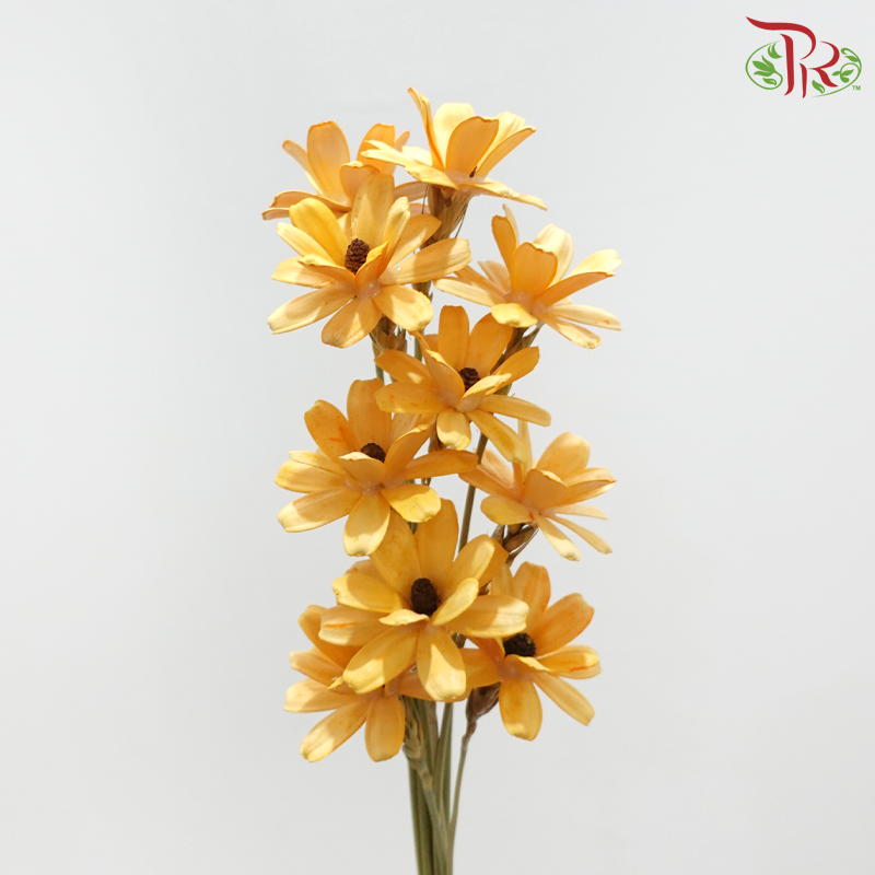 Dried Sunflower Seed Flower - Yellow (Per Bunch)