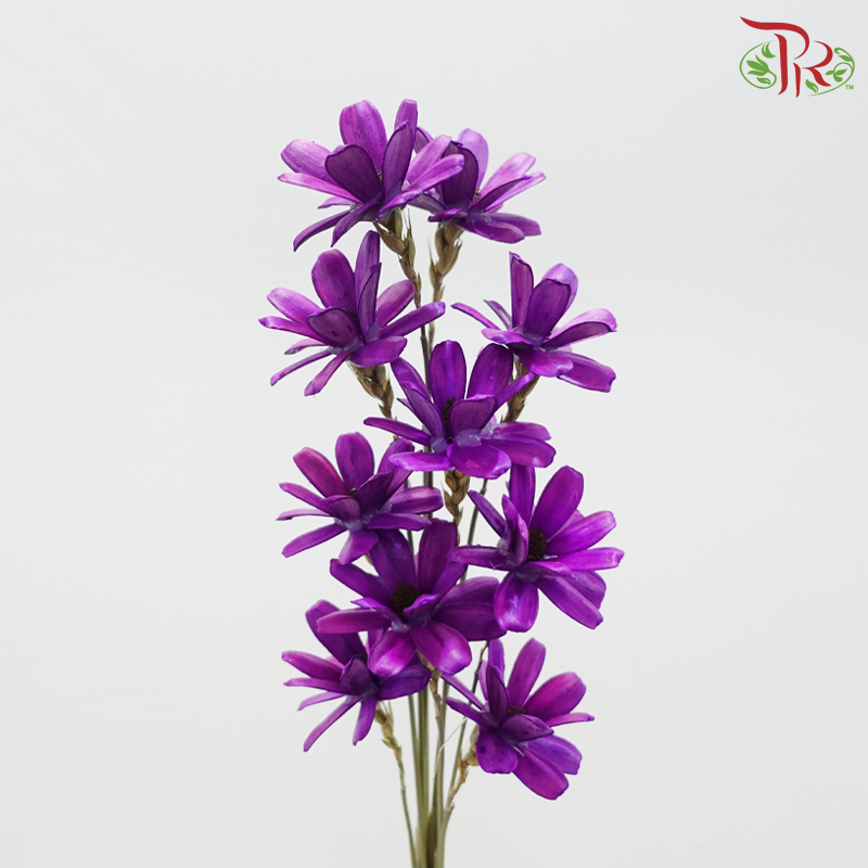 Dried Sunflower Seed Flower - Purple (Per Bunch)