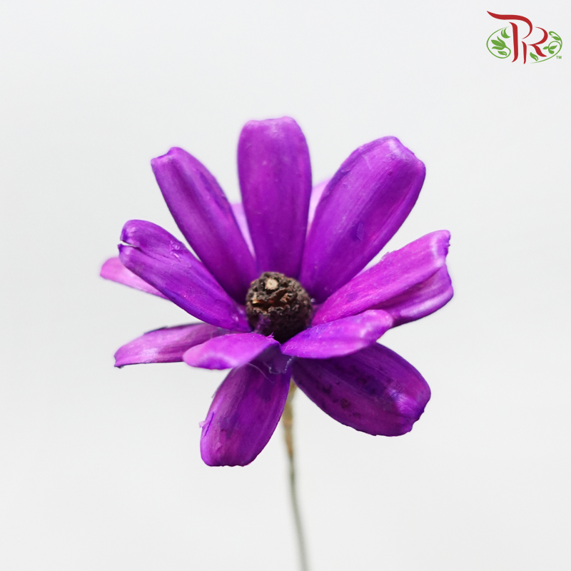 Dried Sunflower Seed Flower - Purple (Per Bunch)