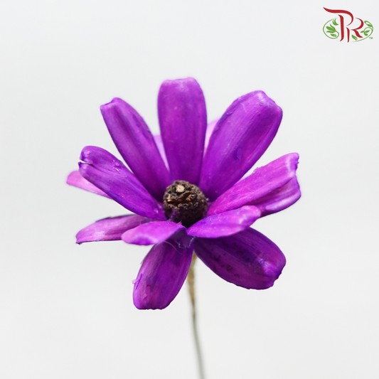 Dried Sunflower Seed Flower - Purple (Per Bunch)