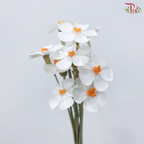 Dried Violet - Orange Heart (10 Stems)