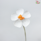 Dried Violet - Orange Heart (10 Stems)
