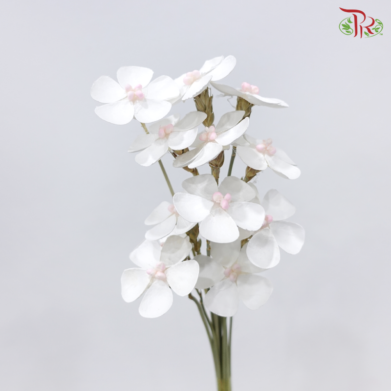 Dried Violet - Pink Heart (10 Stems)