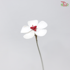 Dried Violet - Red Heart (10 Stems)