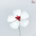 Dried Violet - Red Heart (10 Stems)