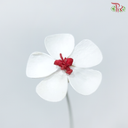 Dried Violet - Red Heart (10 Stems)