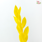 Dry Orange Leaf Dyed - Yellow (Per Bunch)