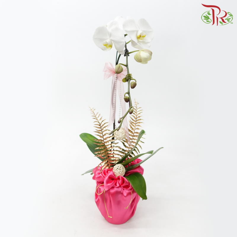 【Gift Series】Orchid Tranquility - Premium Phalaenopsis Orchid Arrangement with Wrapping Cloth (Random Choose Orchid Colour) (With Wrapping Cloth Color Options)-Pink Wrapping Cloth-Pudu Ria Florist-prflorist.com.my