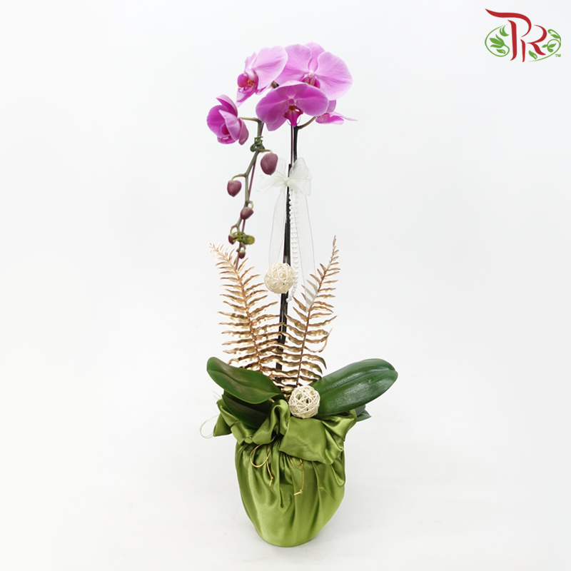 【Gift Series】Orchid Tranquility - Premium Phalaenopsis Orchid Arrangement with Wrapping Cloth (Random Choose Orchid Colour) (With Wrapping Cloth Color Options)-Pudu Ria Florist-prflorist.com.my