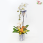 【Gift Series】Pure Orchid Splendor - Premium Phalaenopsis Orchid Arrangement (Random Choose Orchid Colour, Deco & Design) (With Options of Pot)-Gao Lian Pot-Pudu Ria Florist-prflorist.com.my