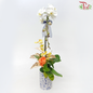 【Gift Series】Pure Orchid Splendor - Premium Phalaenopsis Orchid Arrangement (Random Choose Orchid Colour, Deco & Design) (With Options of Pot)-Tai Yang Hua Pot-Pudu Ria Florist-prflorist.com.my