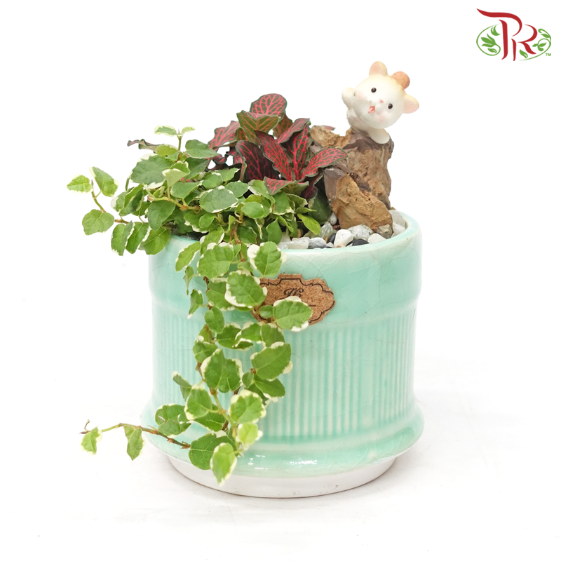 【Gift Series】Verdant Veins Fittonia Plant Arrangement-Pudu Ria Florist-prflorist.com.my